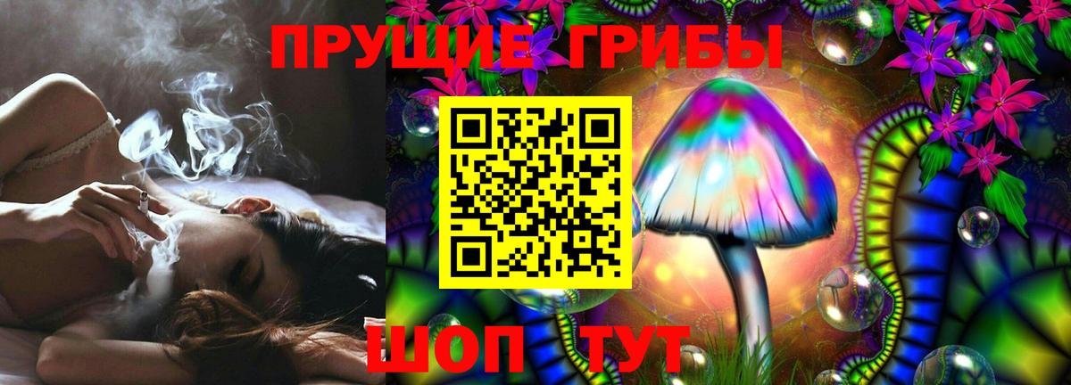 Псилоцибиновые грибы GOLDEN TEACHER  Псилоцибиновые грибы Magic Shrooms  Севастополь  Вход с VPN 